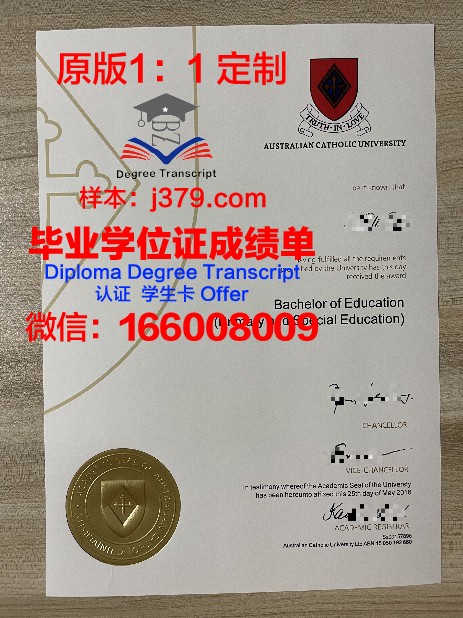 里约热内卢天主教大学毕业证Diploma文凭