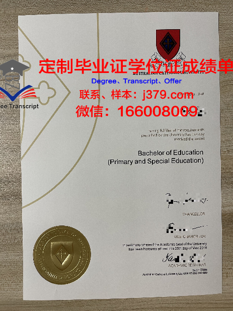 里约热内卢天主教大学毕业证Diploma文凭